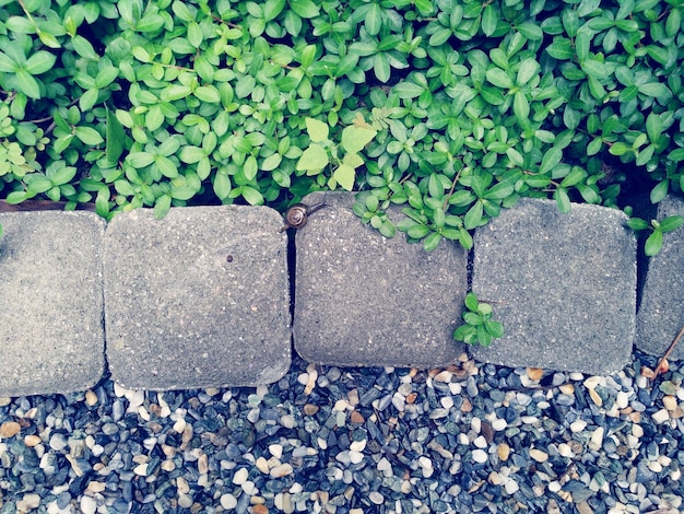 Palisady ogrodowe które odmieniają każdy ogród